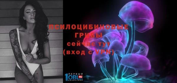 кокаин премиум Богданович