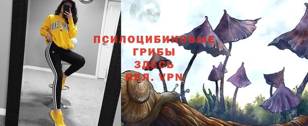 кокаин премиум Богданович