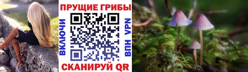 Псилоцибиновые грибы мицелий Ува